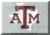 aggielogo.jpg